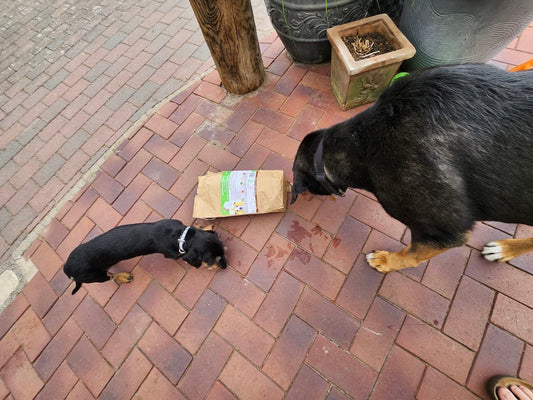 Von Bernd - Maliwi Shop