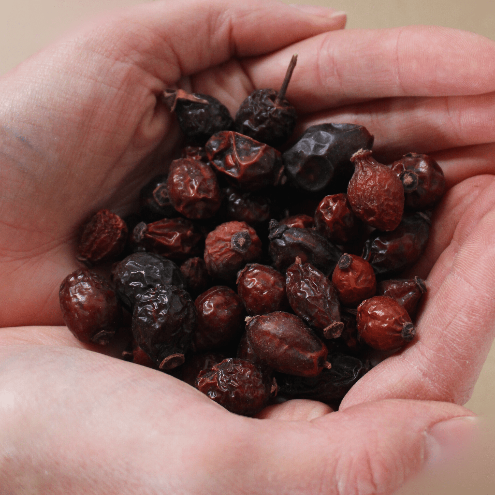 Hanni Butte - getrocknete Hagebutten 0,5 kg - Maliwi Shop