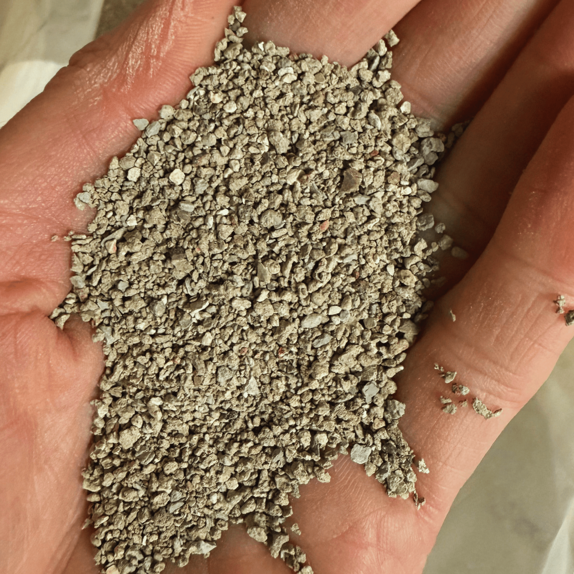 Pfotenpause - Calcium Bentonit Katzeneinstreu - Maliwi Shop