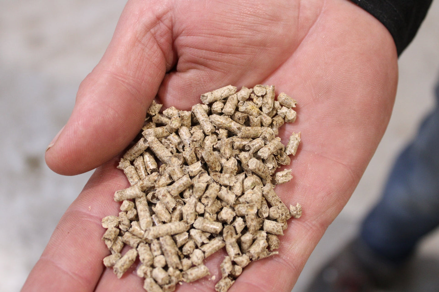 Nistplatz - Hühnereinstreu 15 kg - Maliwi Shop