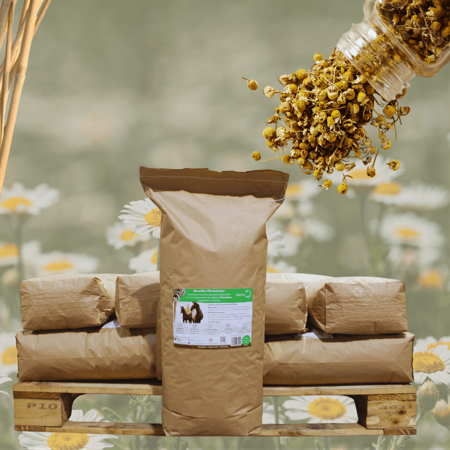 Feldbett – Miscanthus Kamille - Einstreu Sackware 8 mm - Maliwi Shop