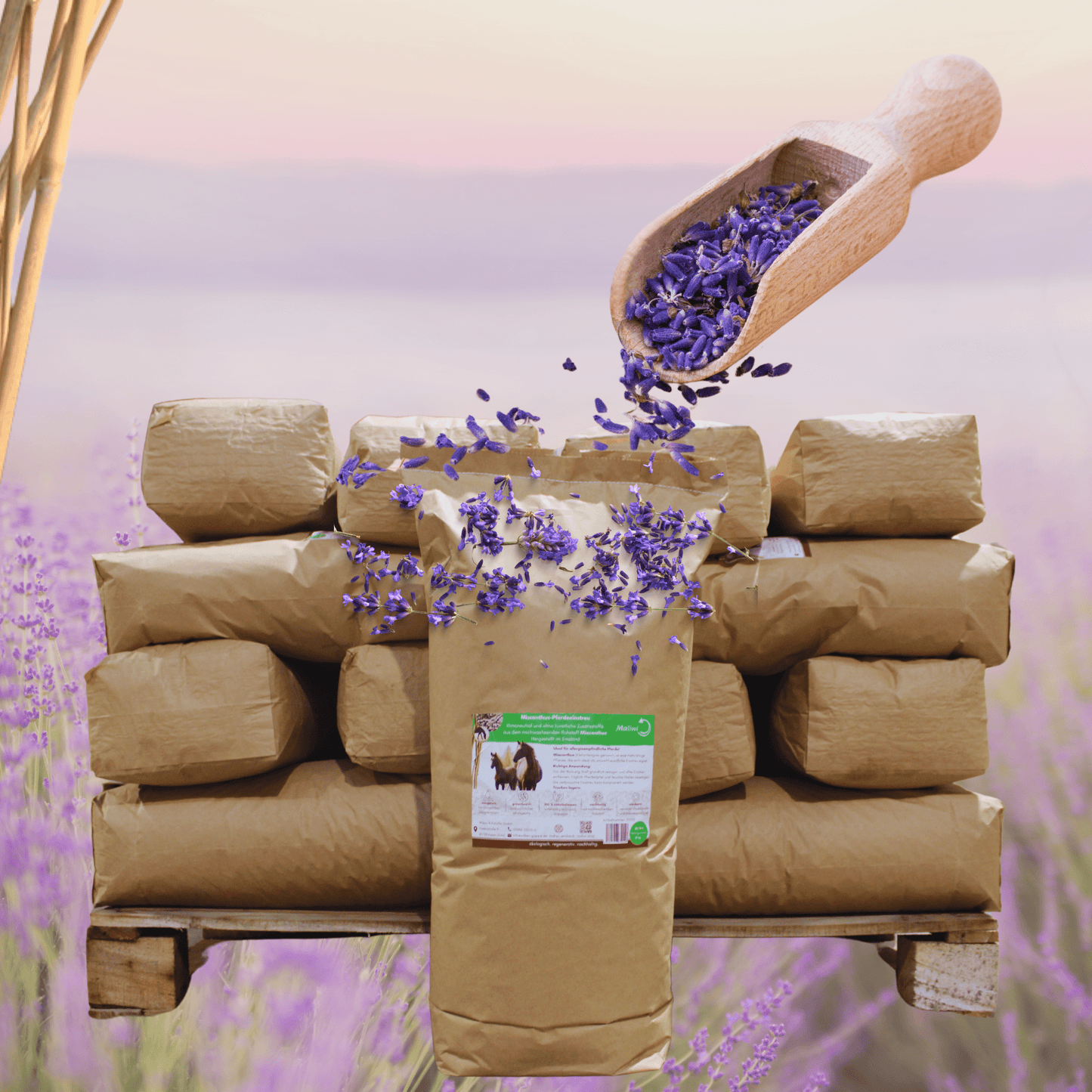 Feldbett – Miscanthus Lavendel - Einstreu Sackware 8 mm - Maliwi Shop