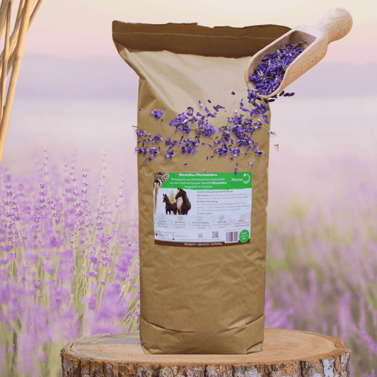 Feldbett – Miscanthus Lavendel - Einstreu Sackware 8 mm - Maliwi Shop