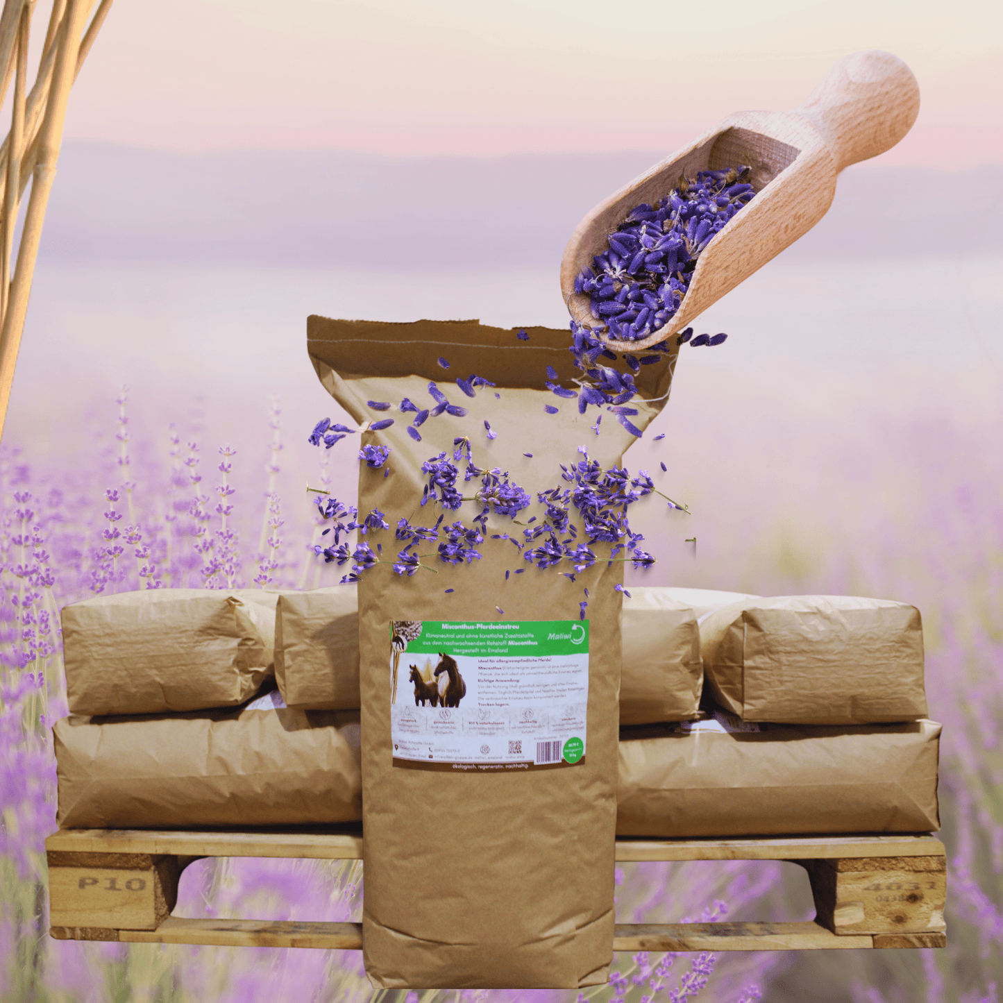 Feldbett – Miscanthus Lavendel - Einstreu Sackware 8 mm - Maliwi Shop