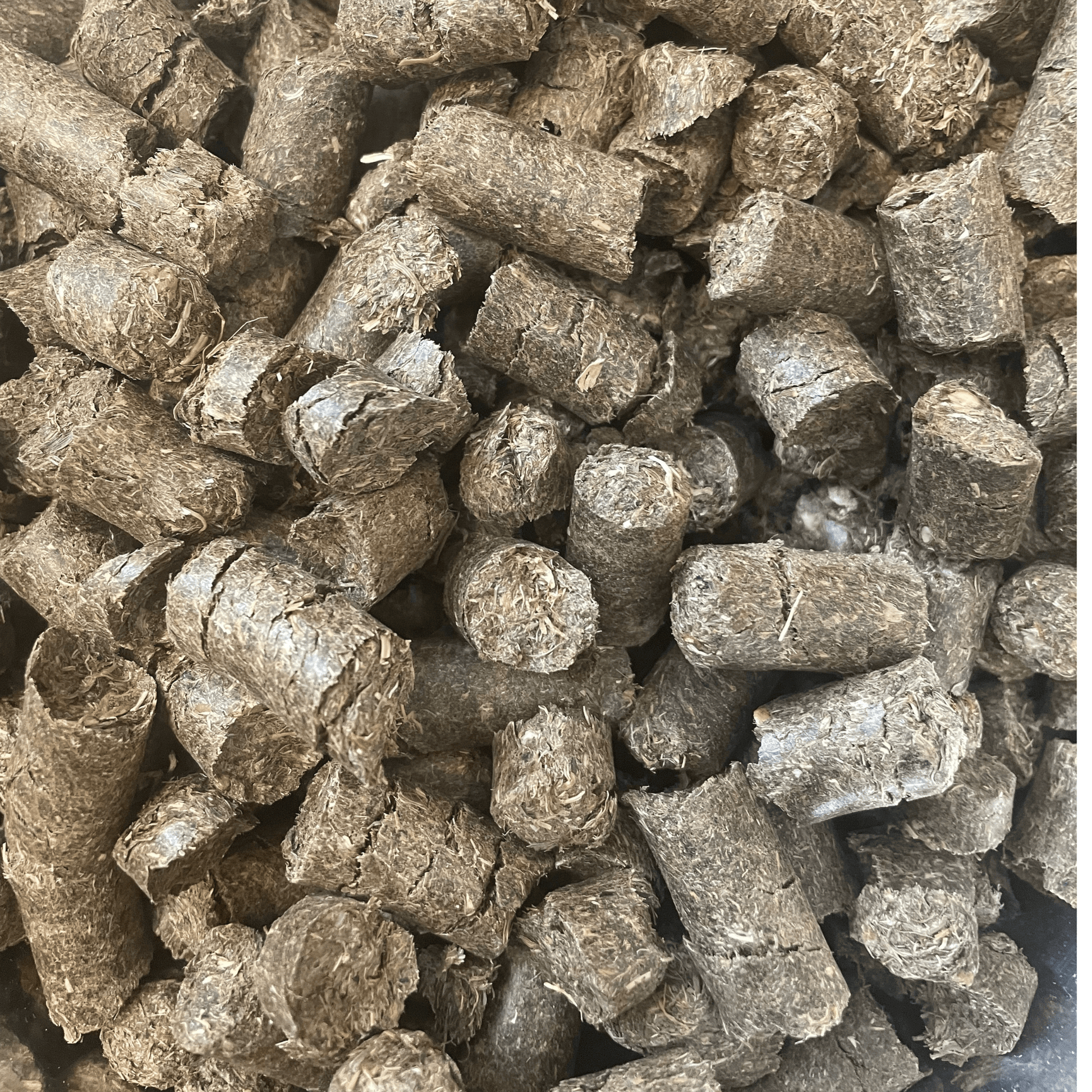 Detailansicht HeuHipster Heucobs – grobe Struktur & gepresste Fasern – natürliches Pferdefutter