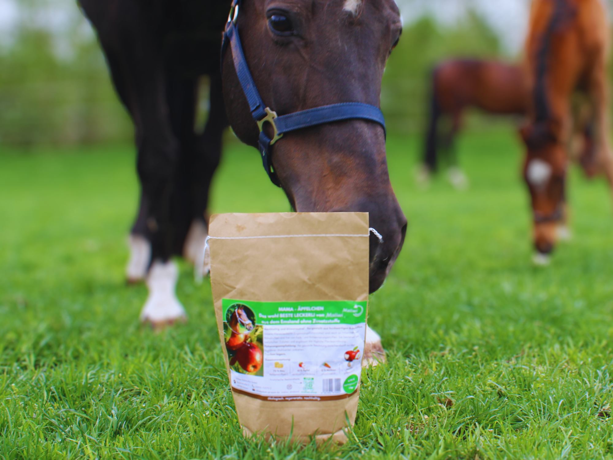 maliwi gesunde pferdeleckerlis ohne zusätze – natürliche snacks für pferde