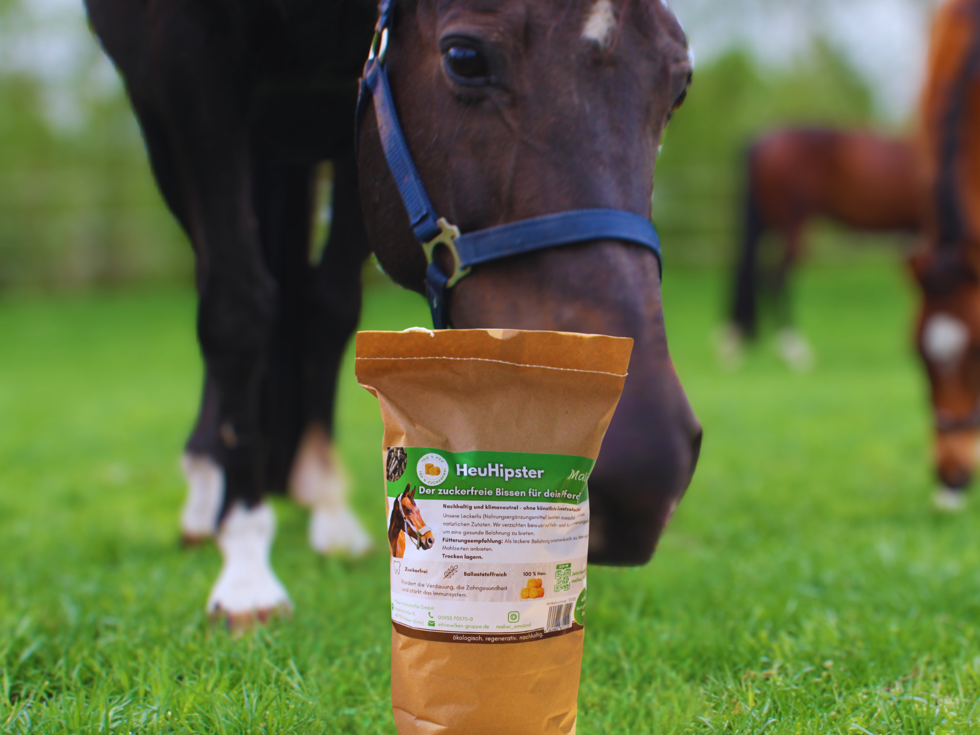 maliwi Heucobs zuckerarme heucobs für pferde – gesundes pferdefutter ohne zusätze