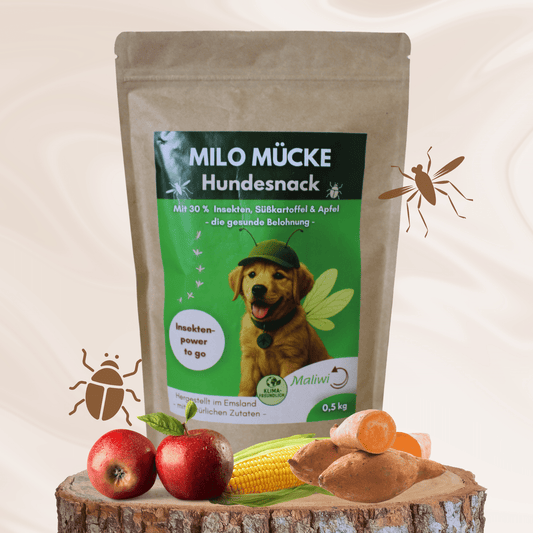 Milo Mücke Hundesnack mit 30 % Insekten, Süßkartoffel & Apfel – gesunde Belohnung für Hunde – 0,5 kg