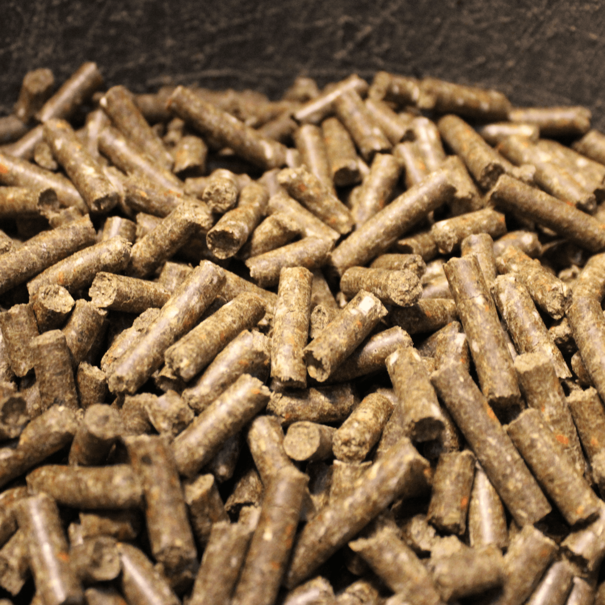 Detailansicht Milo Mücke Hundesnack – Insektenpellets als gesunde Belohnung für Hunde – 0,5 kg