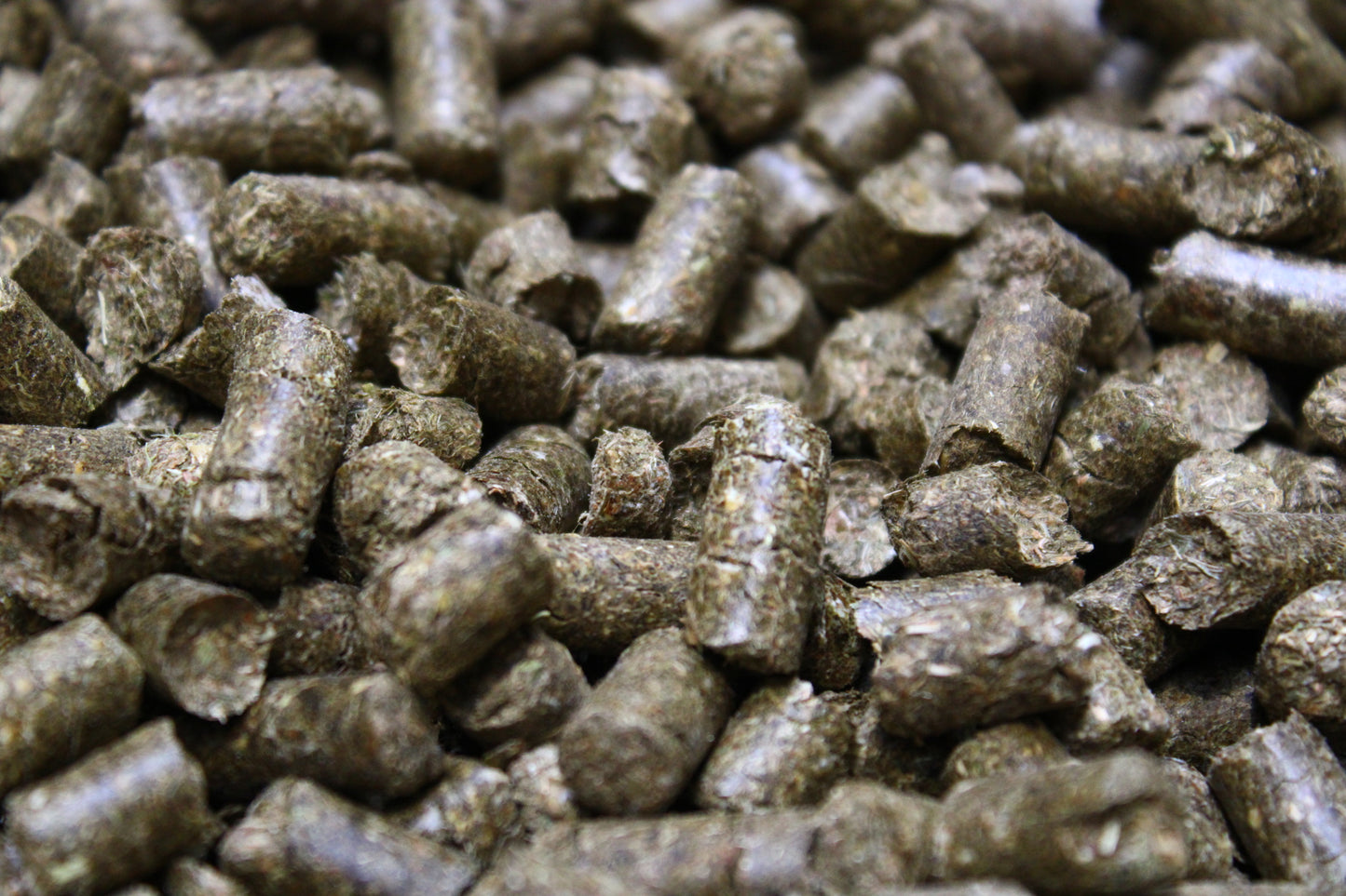 Mama - Möhrchen für dein Pferd Detailansicht Pellets