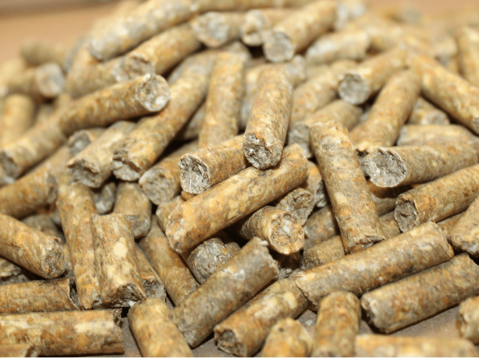 Veggie Columbus Erbsen - Power Snack Pellets - Maliwi Shop