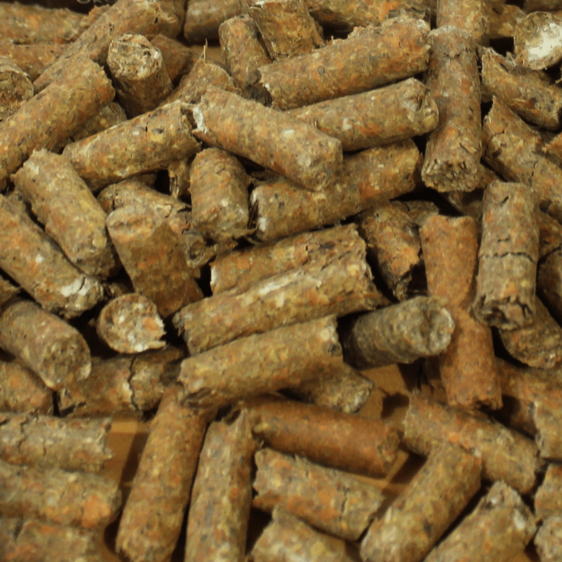 Veggie Columbus Hundesnack mit Möhren