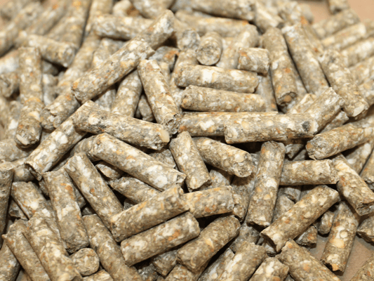 Detailansicht Veggie Hudson Hundehappen – vegetarische Gemüsepelletts mit Kürbis, Ei & Brokkoli