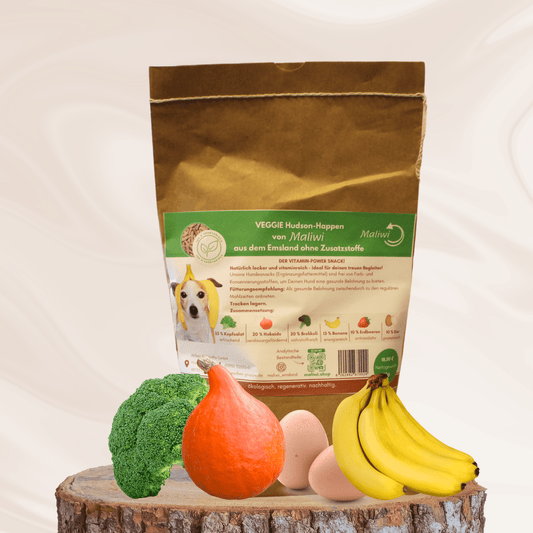 Veggie Hudson Hundehappen von Maliwi – gesunder Gemüsesnack für Hunde mit Kürbis, Banane, Brokkoli & Ei – ohne Zusatzstoffe