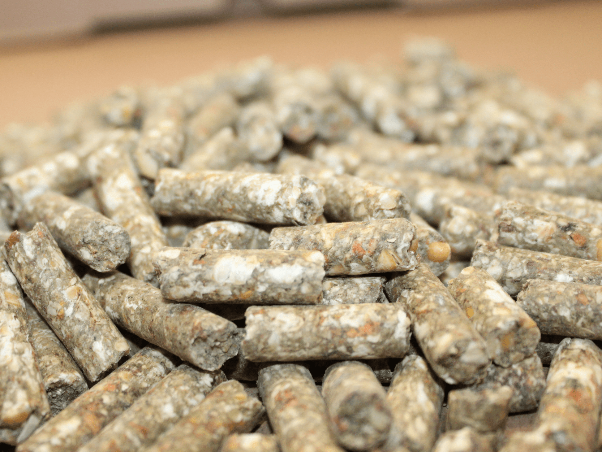 Veggie Hudson - Happen - Maliwi Shop