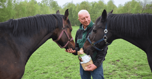 So bleibt dein Pferd fit im Herbst 🍂 - Maliwi Shop