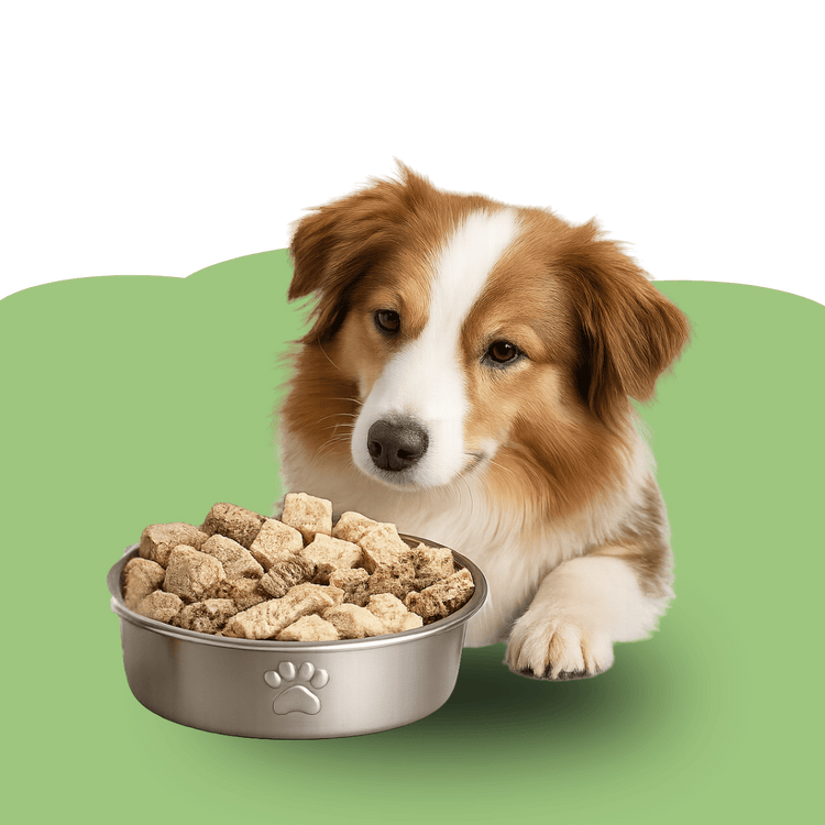 Hundesnacks, Futter & Ergänzung - Maliwi Shop