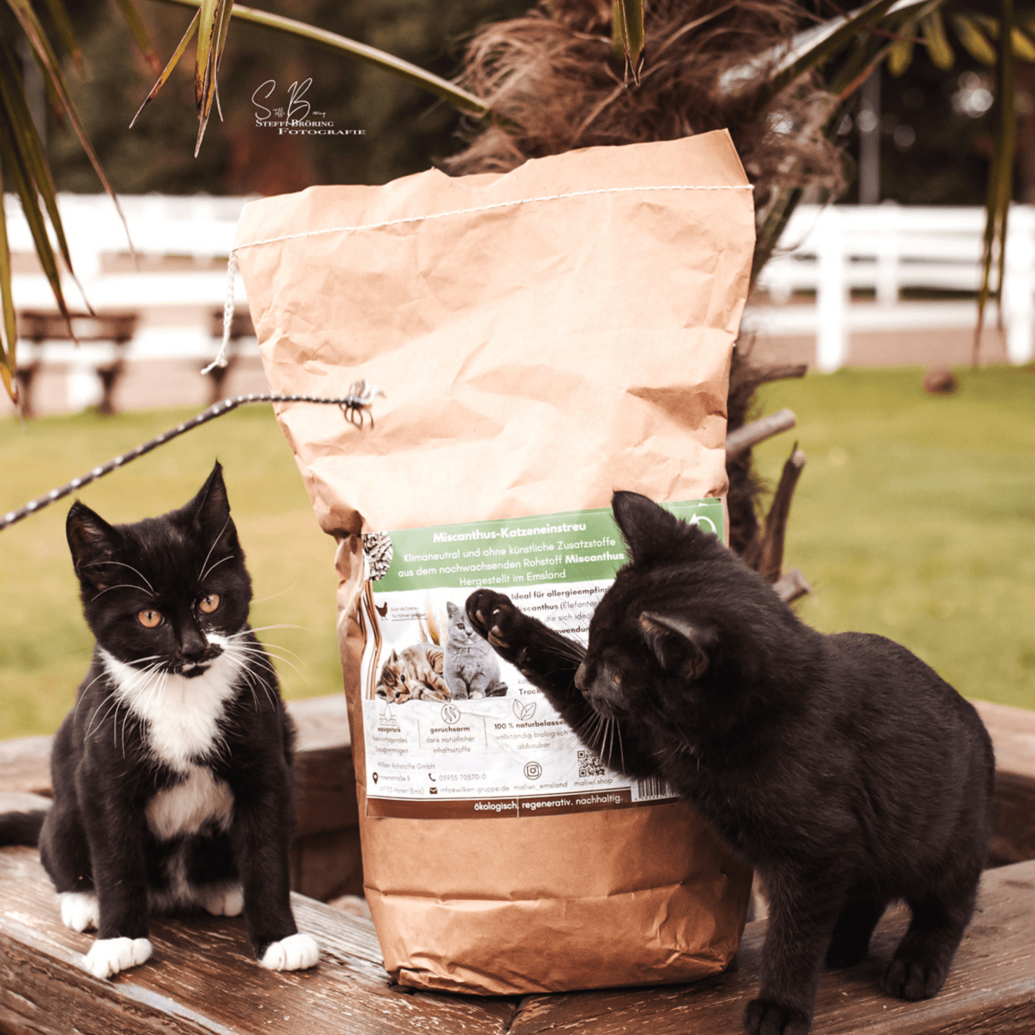 Miscanthus-Einstreu für deine Katze - Maliwi Shop