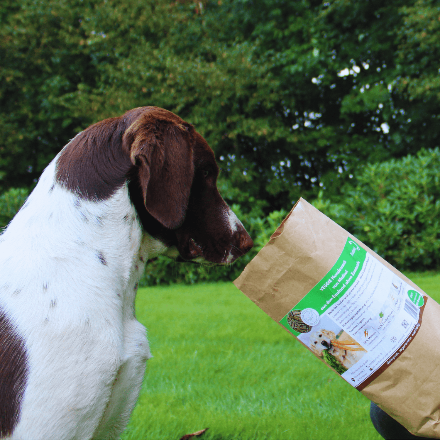 Hundesnacks – gesund & lecker - Maliwi Shop