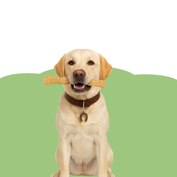 Natürliche Kauartikel für Hunde - Maliwi Shop