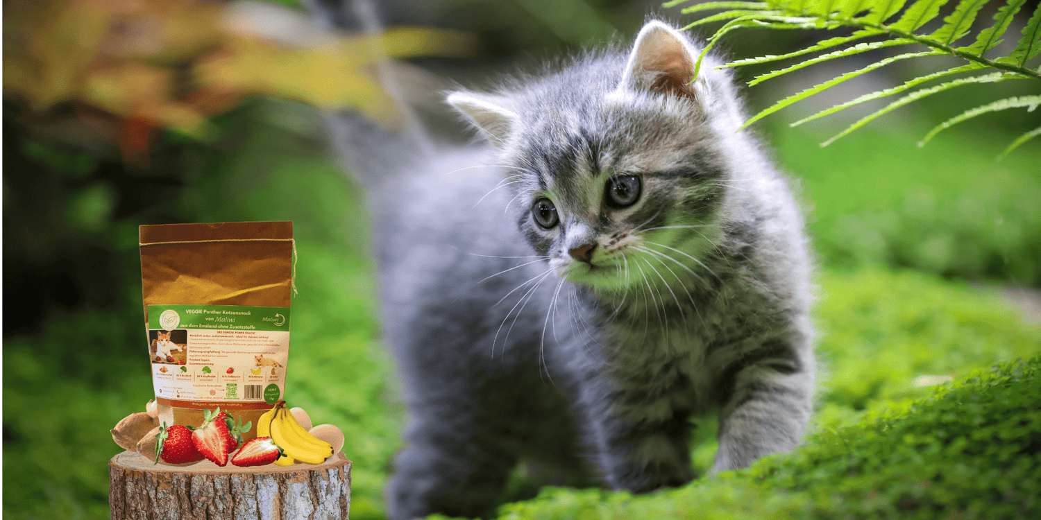 VEGGIE Katzensnacks - für wählerische Genießer - Maliwi Shop