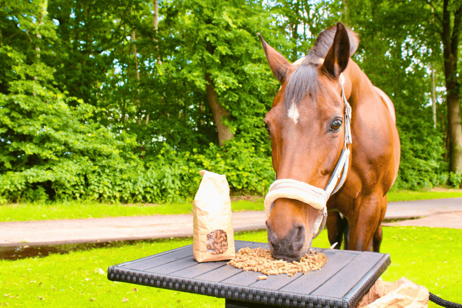 Gesunde Pferdeleckerlis - Maliwi Shop