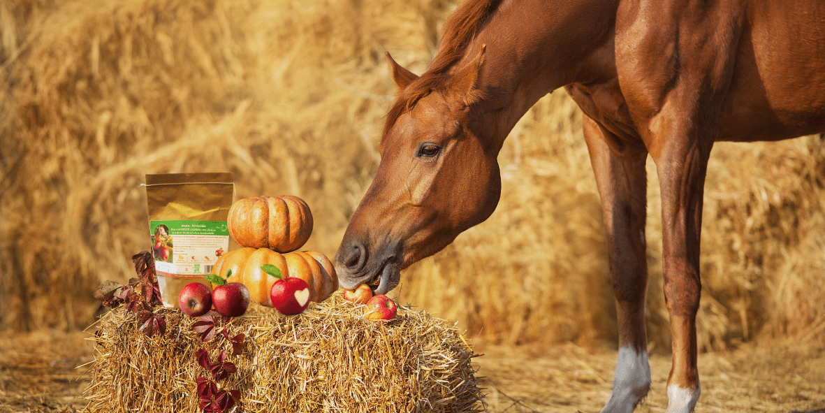 Pferdeleckerlis, Futter und Einstreu - Maliwi Shop