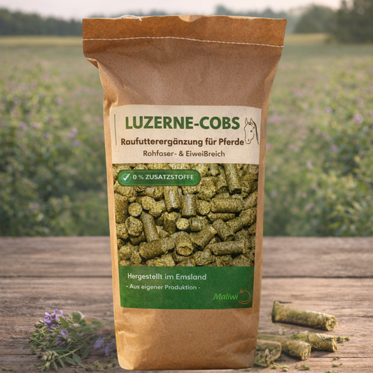 Luzerne-Cobs dein Pferd