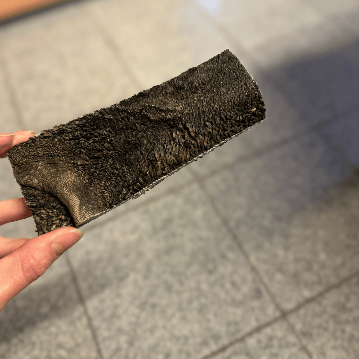 Rudi Rinderpansen - Grüner Rinderpansen 100 g - Maliwi Shop