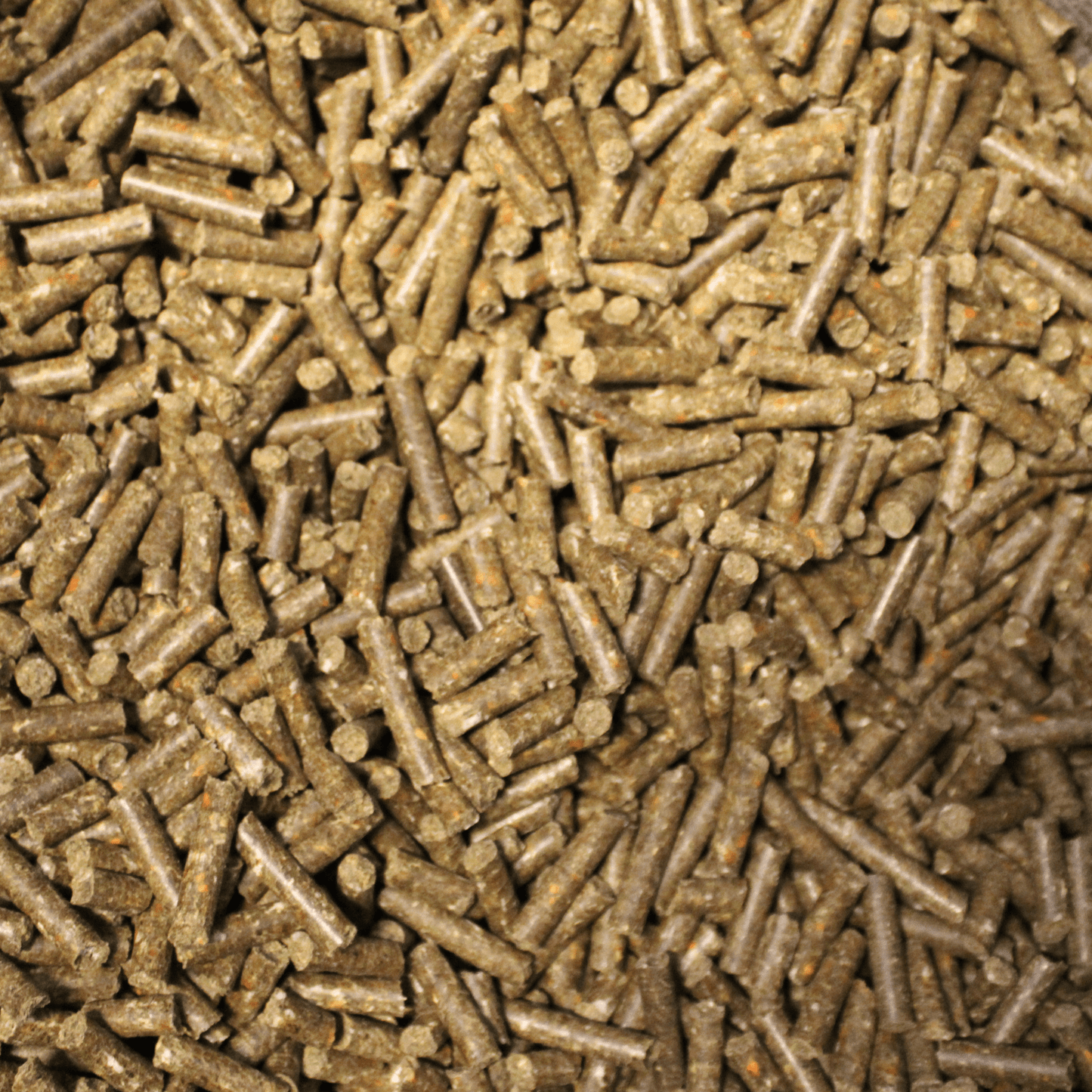 Starter - Set: 3 Proben + 1 Spielzeug - Maliwi Shop