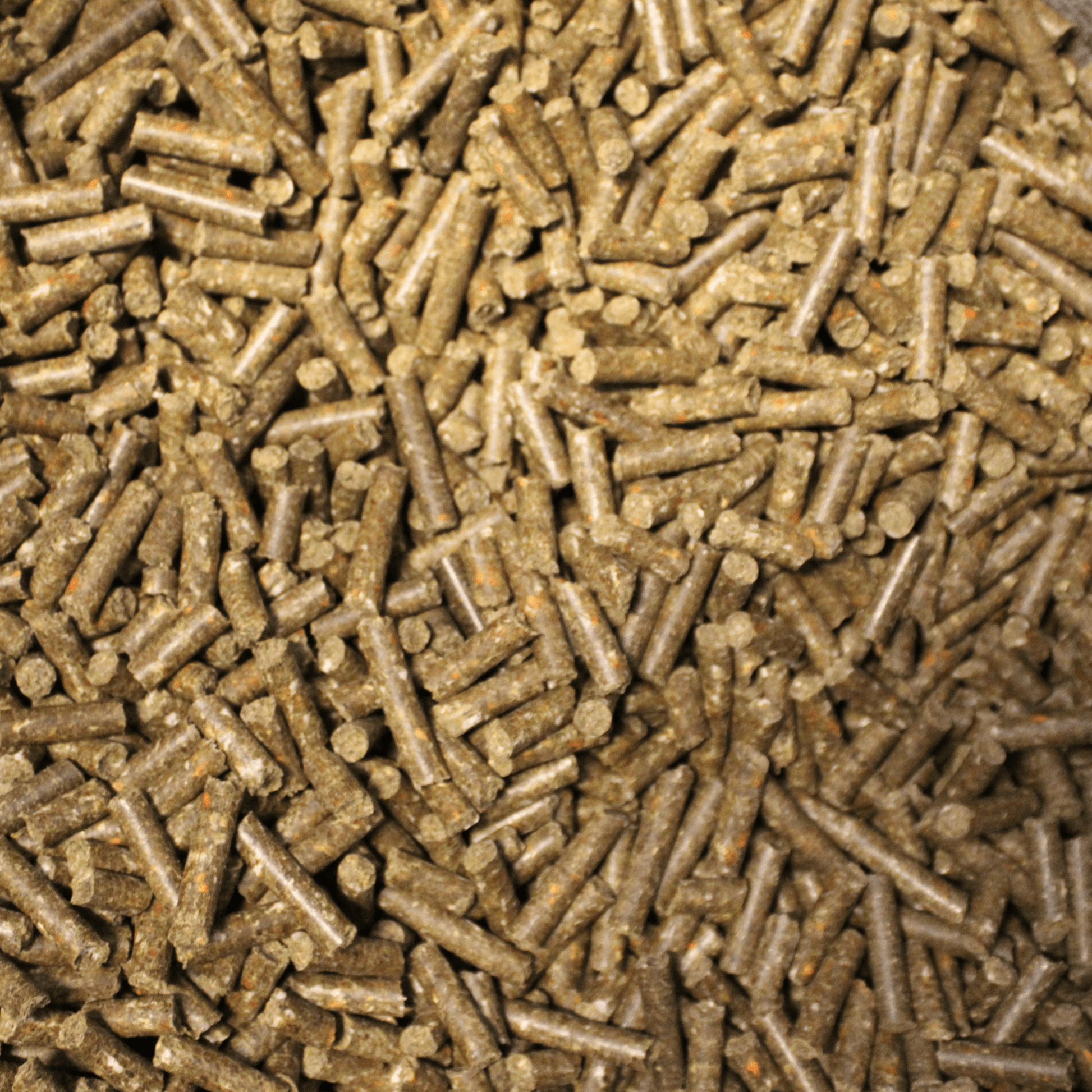 Starter - Set: 3 Proben + 1 Spielzeug - Maliwi Shop