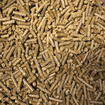 Starter - Set: 3 Proben + 1 Spielzeug - Maliwi Shop