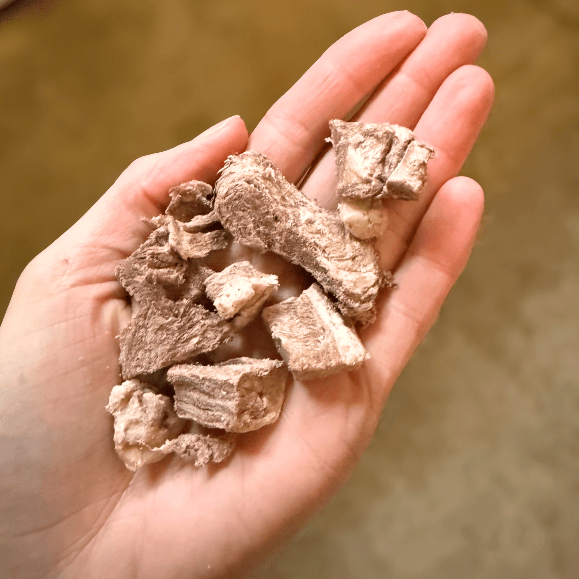 Paco Pferdefleisch - Happen 150 g - Maliwi Shop