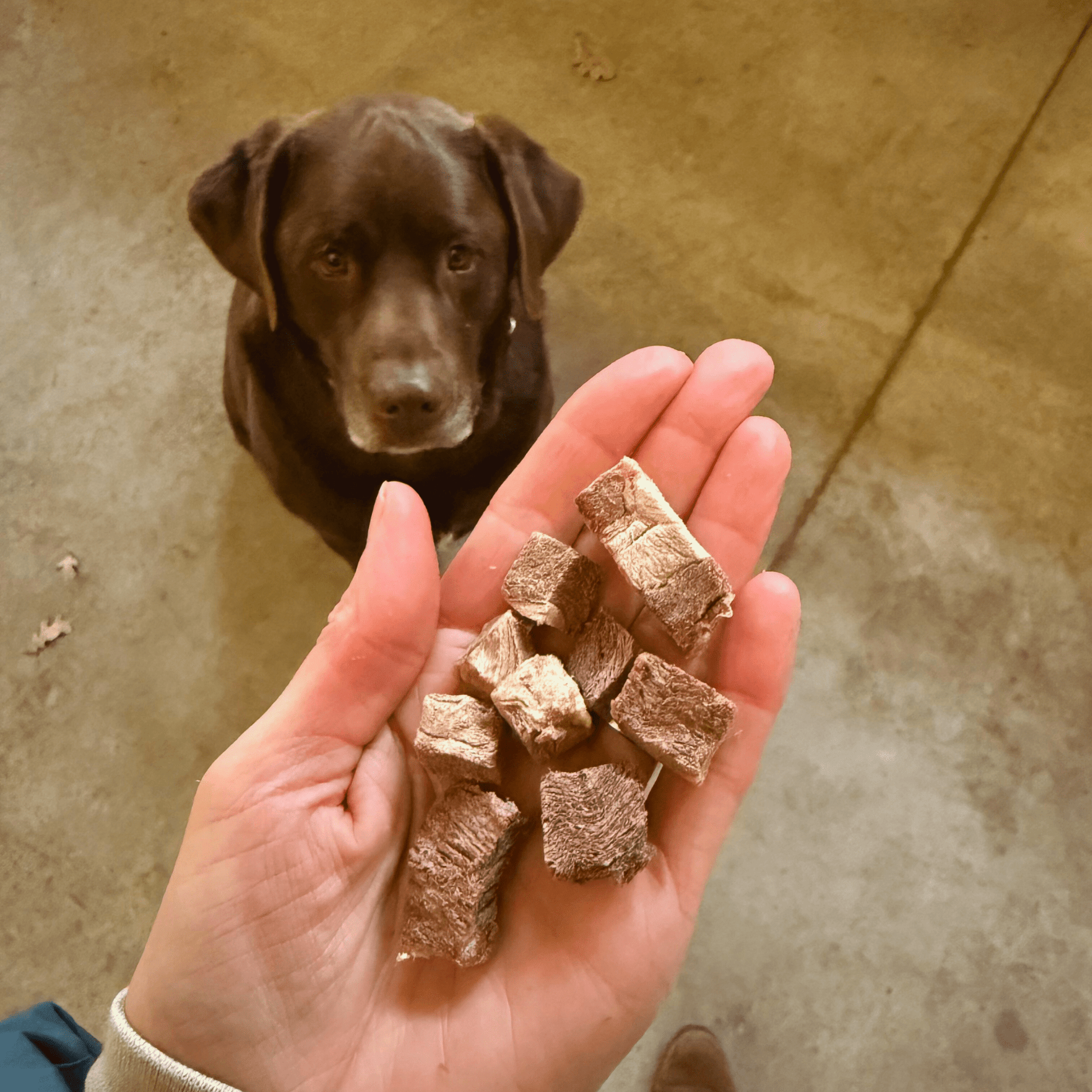 Ralf Rinderfleisch - Happen 150 g - Maliwi Shop