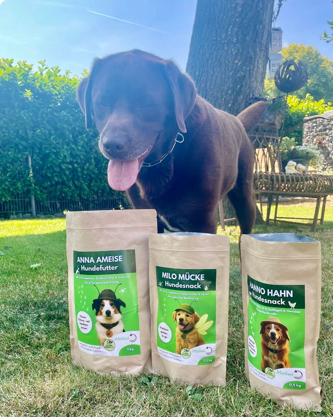 Starter - Set: 3 Proben + 1 Spielzeug - Maliwi Shop