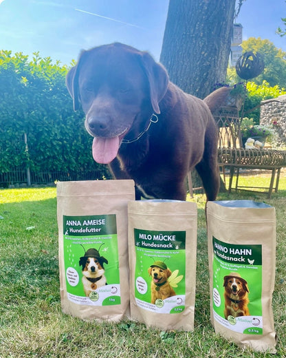 Starter - Set: 3 Proben + 1 Spielzeug - Maliwi Shop