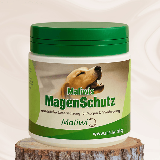 MagenSchutz 200 g - Maliwi Shop
