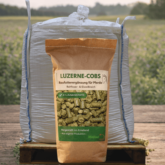 Luzerne - Cobs für dein Pferd - 500 kg BigBag - Maliwi Shop