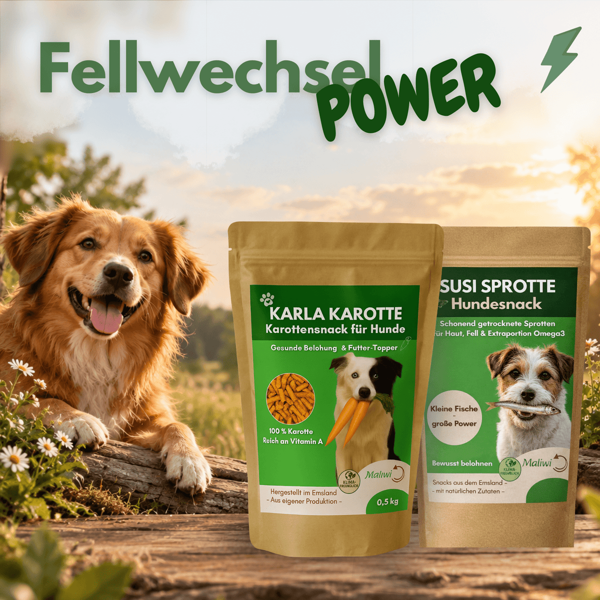Fellwechsel-POWER für deinen Hund - Sprotte & Karotte