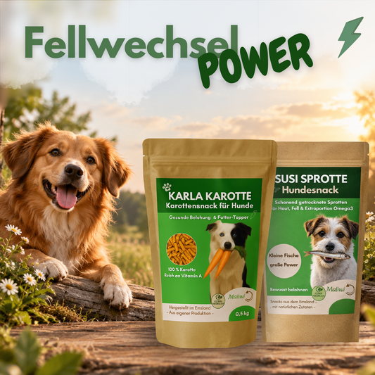 Fellwechsel-POWER für deinen Hund - Sprotte & Karotte