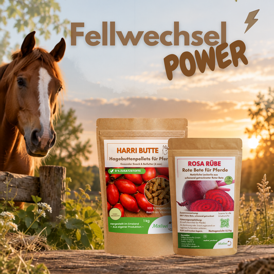 Fellwechsel-POWER für dein Pferd - Harri Butte & Rosa Rübe