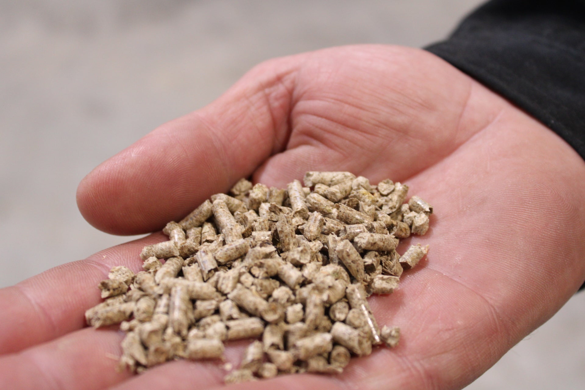 Pfotenpause - Katzeneinstreu Pellets Detailansicht - Maliwi Shop