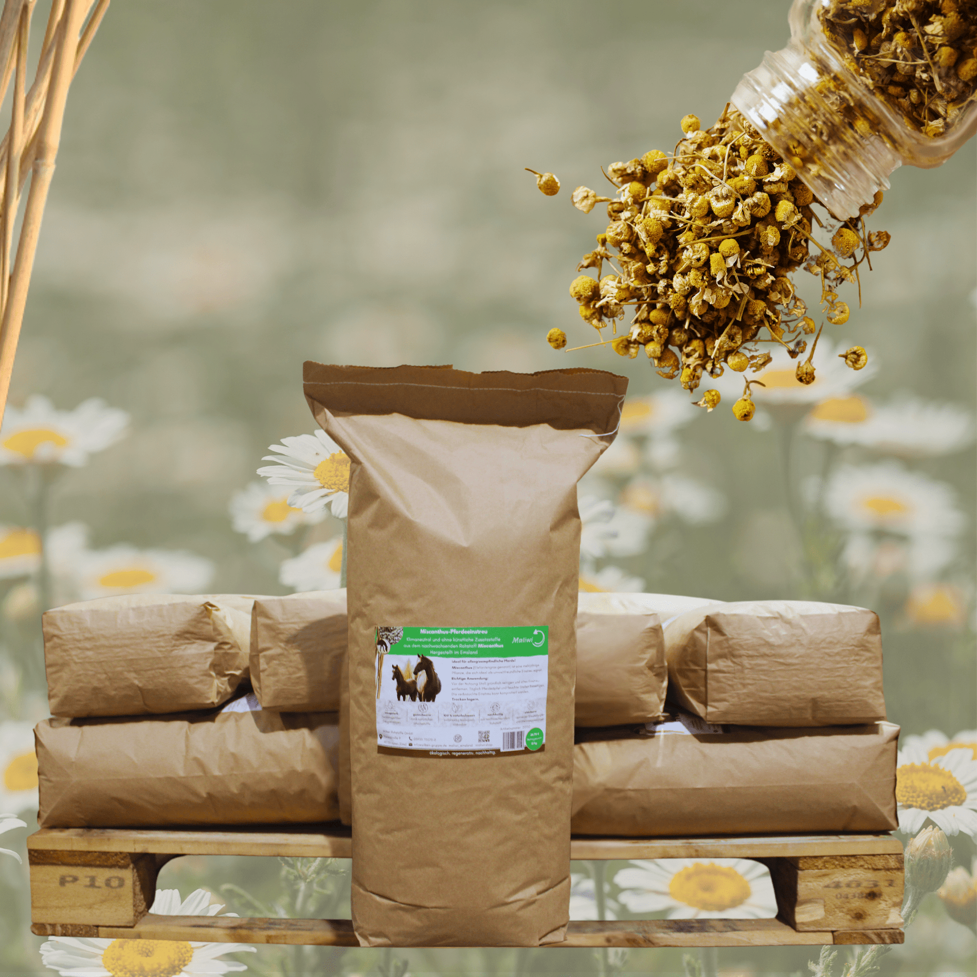Feldbett – Miscanthus Kamille - Einstreu Sackware 8 mm - Maliwi Shop