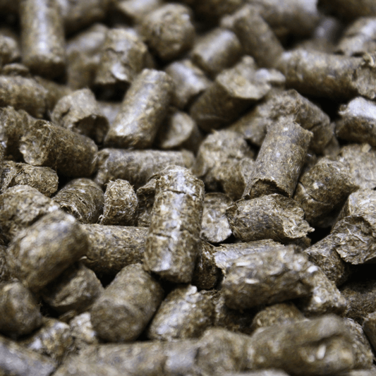 Leckerlis für Pferde von Maliwi Pellets