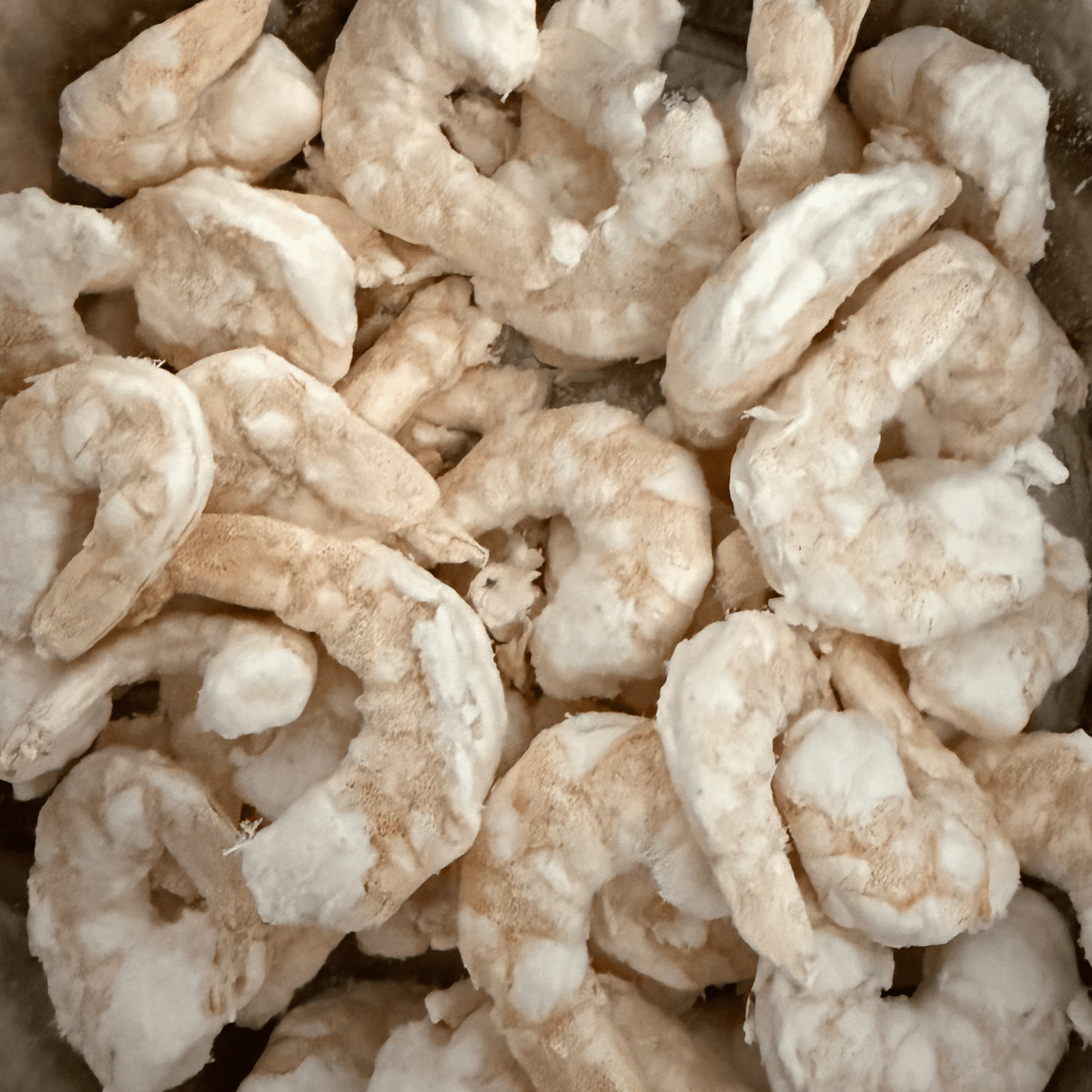 Gabi Garnele - Riesengarnelen 50 g - Maliwi Shop