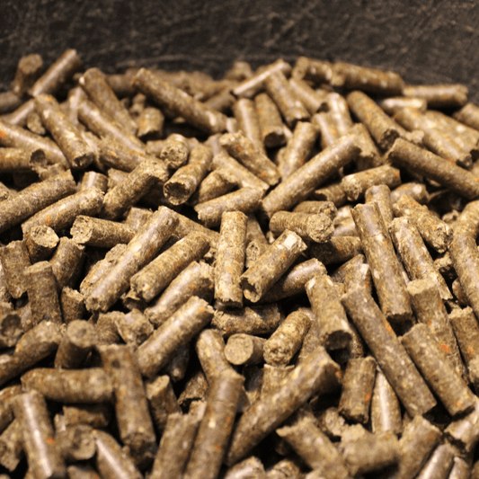 Detailaufnahme Hanno Hahn Hundesnack – Fleischpellets mit Geflügel & Rind – proteinreicher Kausnack für Hunde