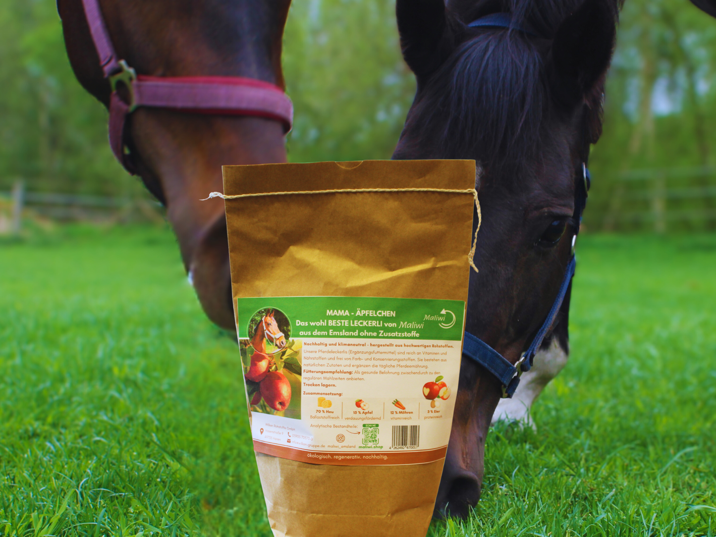 Frühlings - Duo Karl Karotte & Mama Äpfelchen - Maliwi Shop