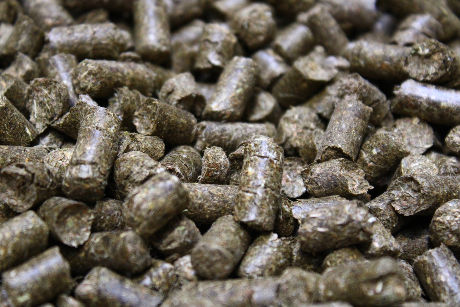 Mama - Möhrchen für dein Pferd Detailansicht Pellets