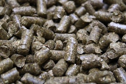Mama - Möhrchen für dein Pferd Detailansicht Pellets